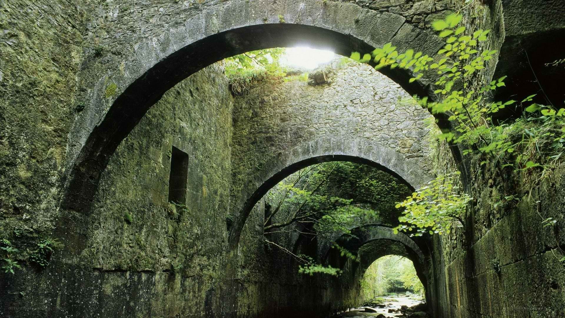 Stone arch tunnel with greenery