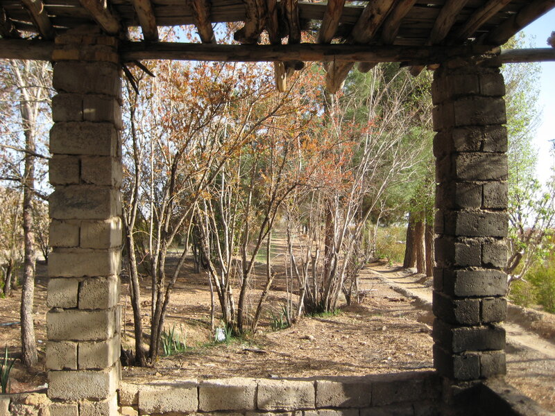 Stone Archway in Forest — Brown