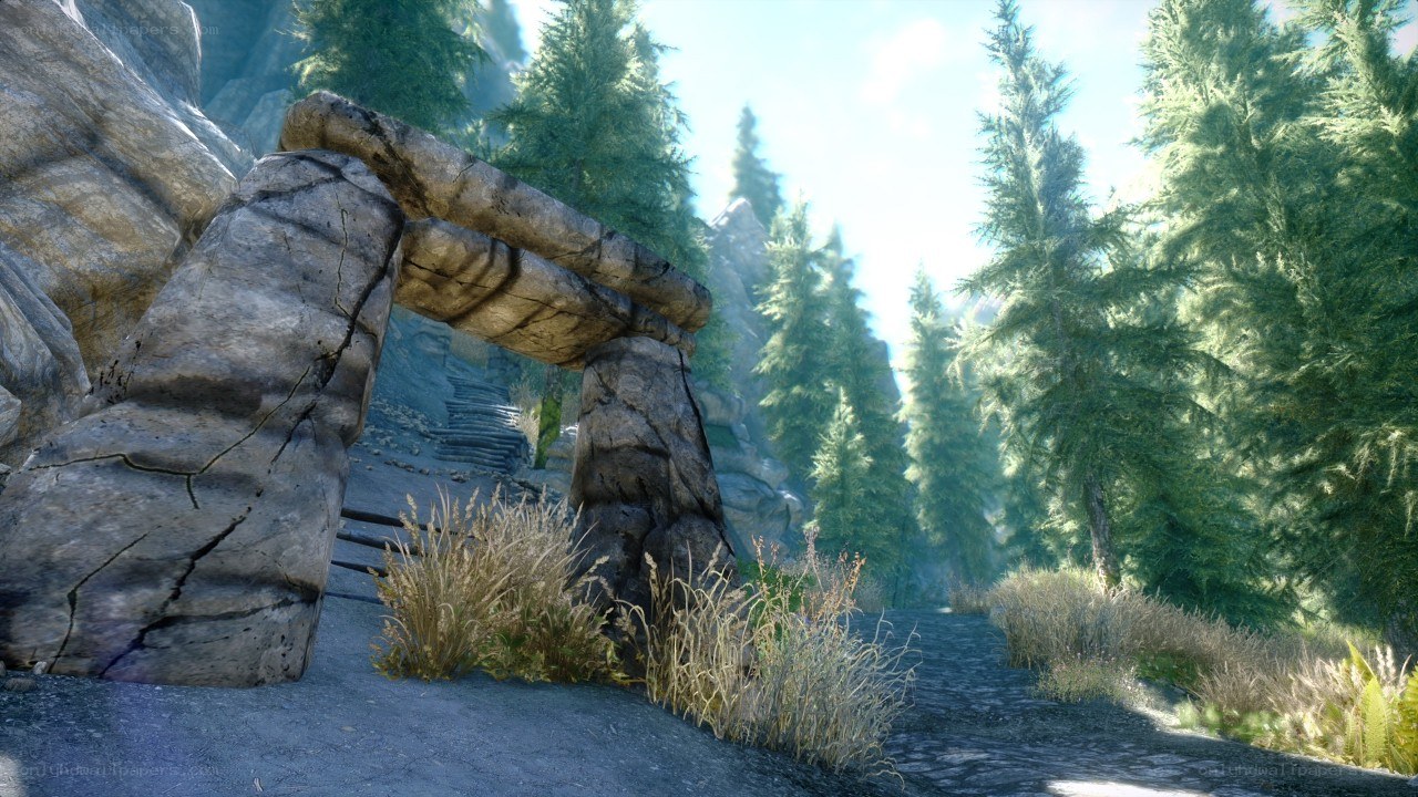 Stone archway in forest