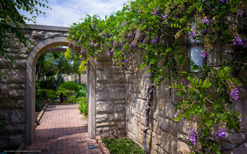 Stone Archway with Wisteria — Green