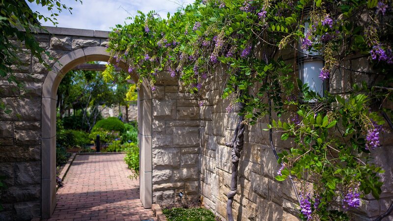Stone Archway with Wisteria