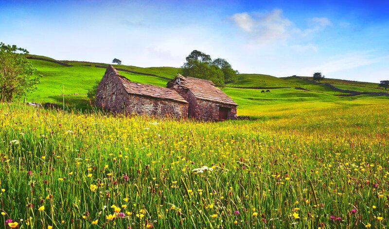 Stone Barns in Field