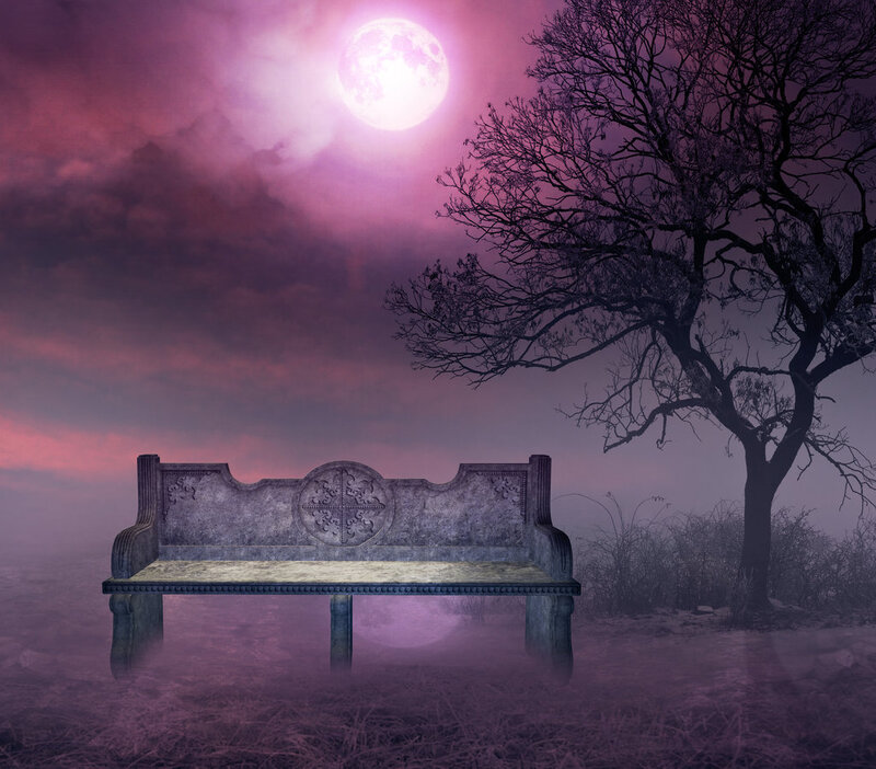 Stone Bench in Fog