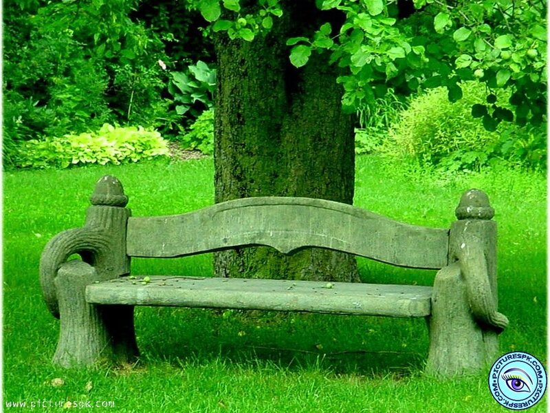 Stone Bench in Garden — Green, Serene