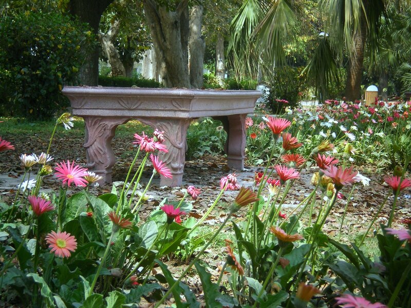 Stone Bench in Garden