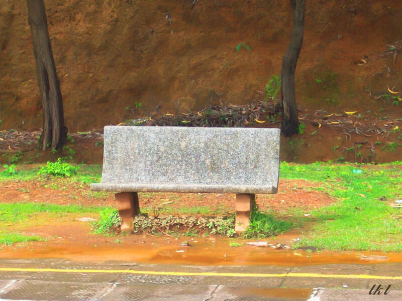 Stone Bench in Park