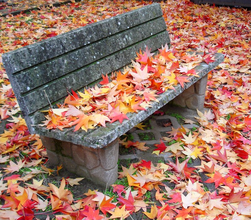 Stone Bench with Leaves