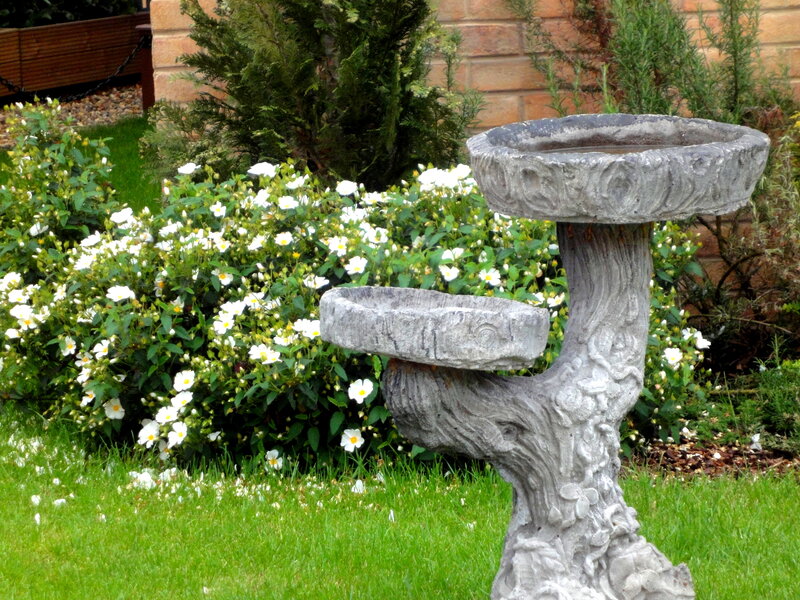 Stone Birdbath in Garden — Green