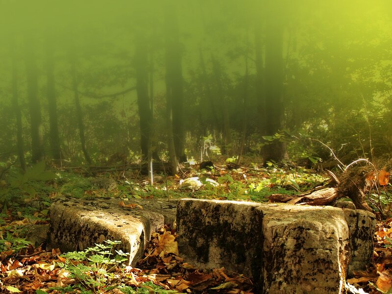 Stone Blocks in Forest