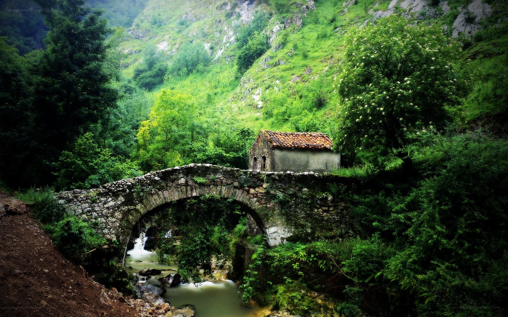 Stone bridge in a green valley