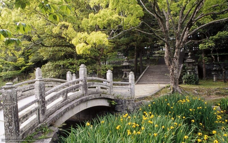 Stone bridge in a Japanese garden