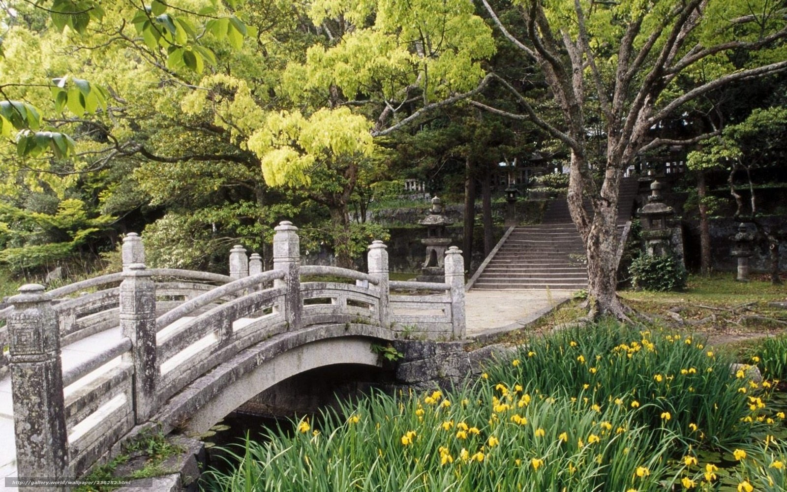 Stone bridge in a Japanese garden