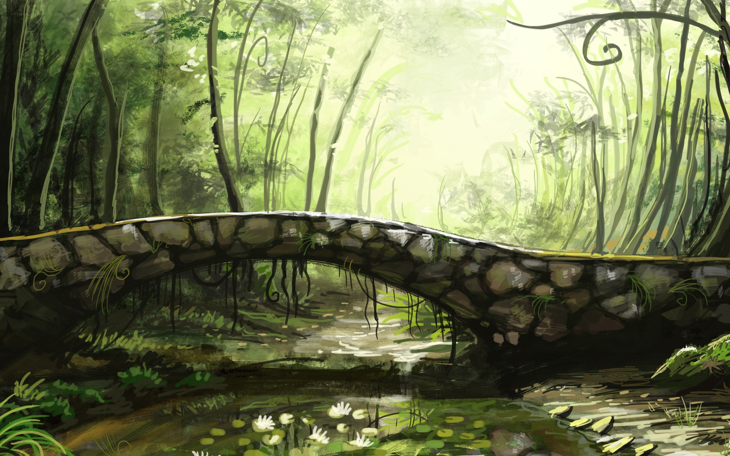 Stone bridge in a lush forest