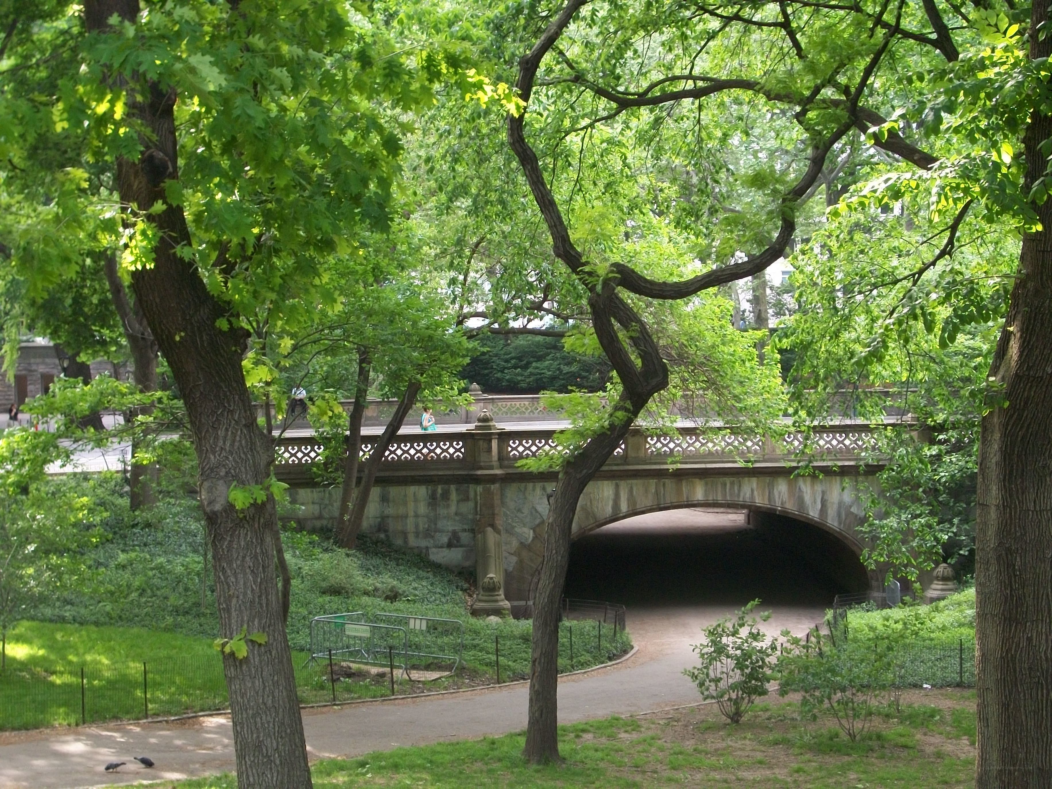 Stone bridge in a lush park