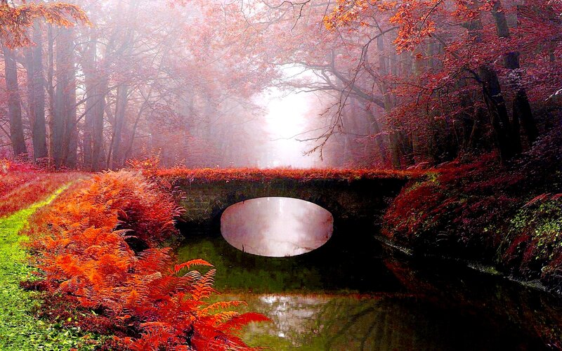 Stone Bridge in Autumn Forest — Red, Serene