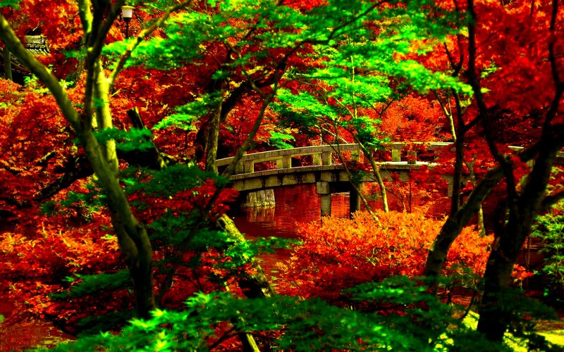 Stone Bridge in Autumn Forest — Red