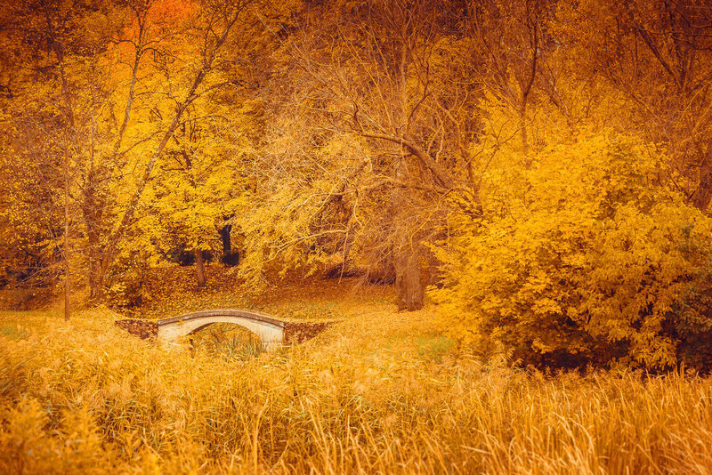 Stone Bridge in Autumn Forest — Yellow