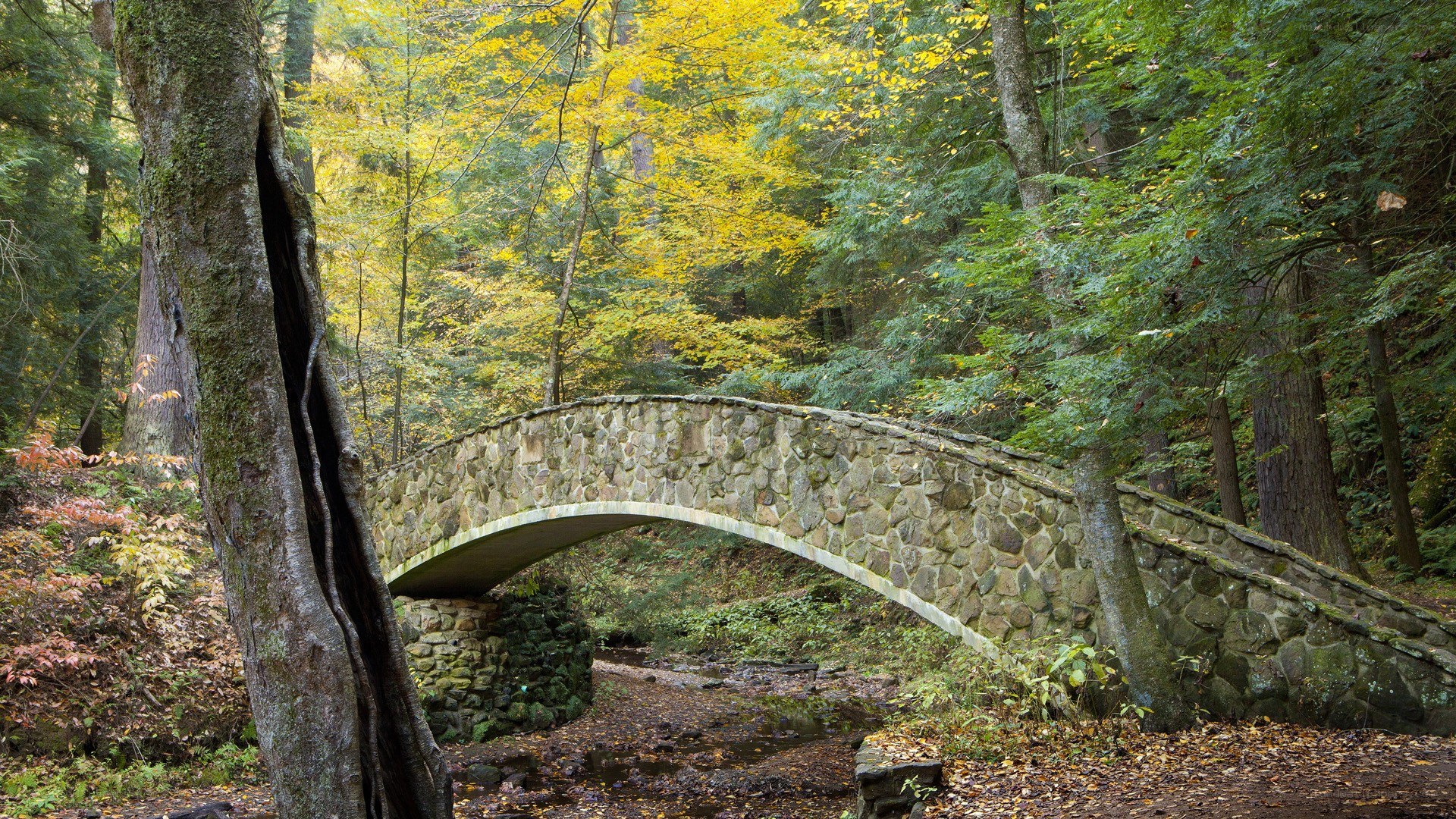 Stone bridge in autumn forest