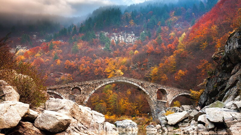 Stone Bridge in Autumn — Orange, Serene, Photograph, Forest