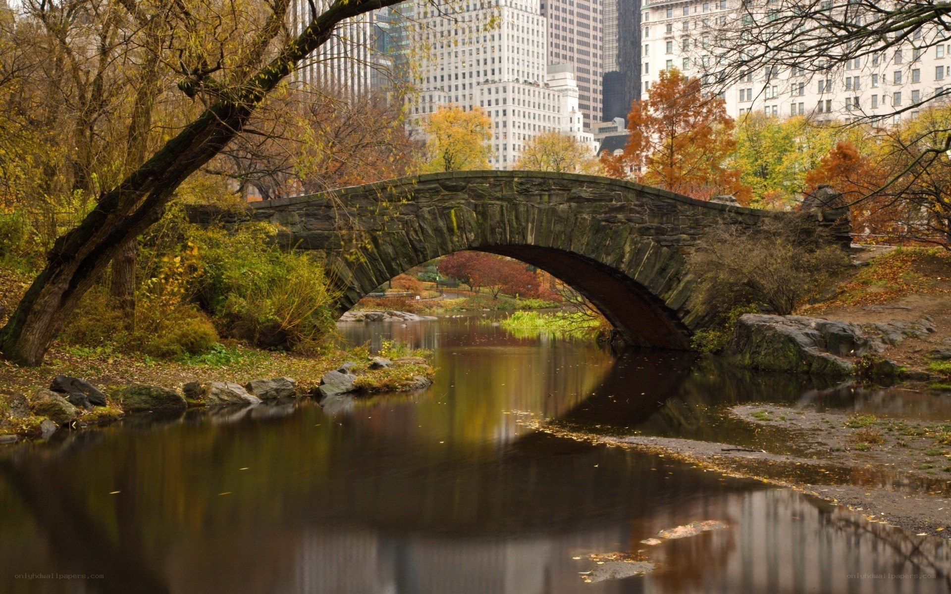 Stone bridge in autumn park