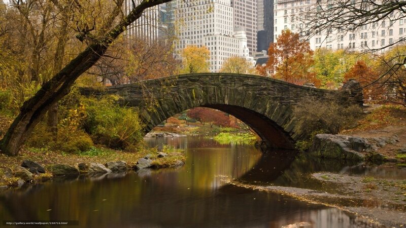 Stone bridge in autumn park