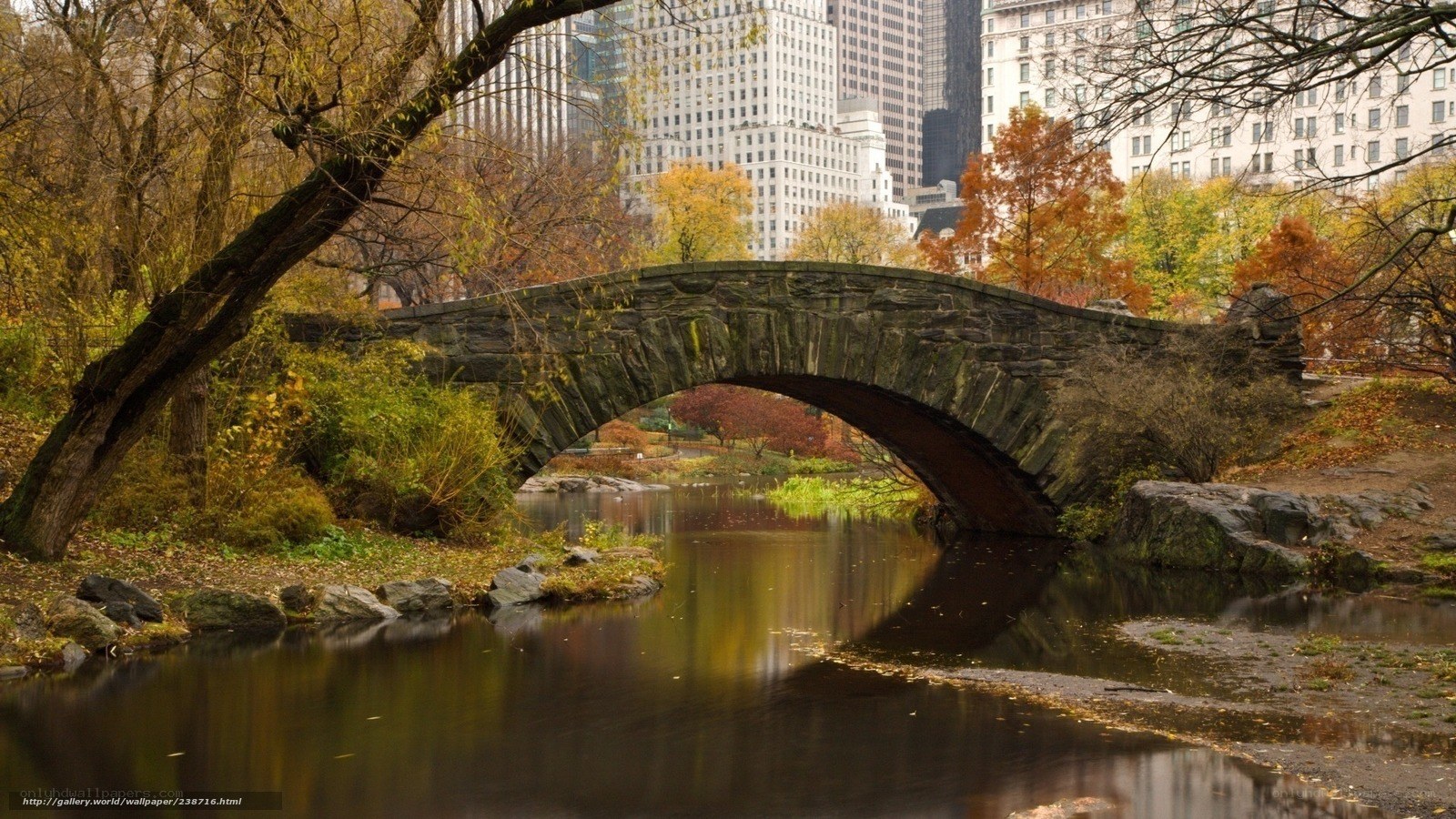 Stone bridge in autumn park