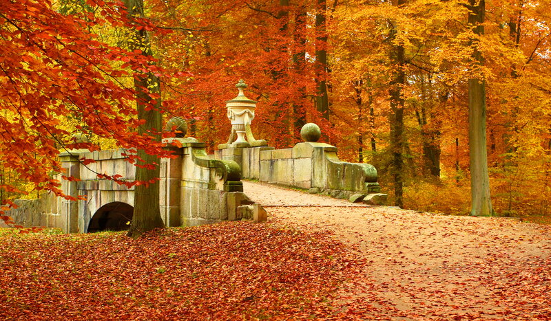 Stone Bridge in Autumn — Red