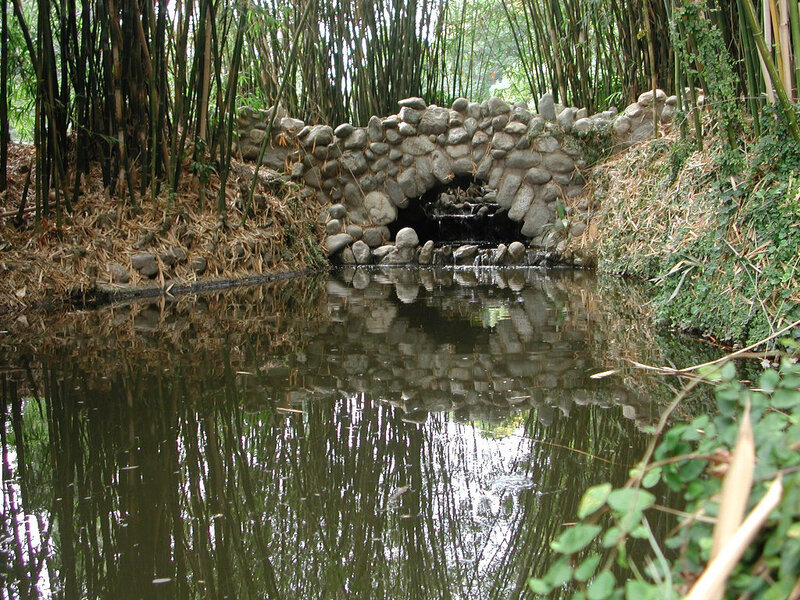 Stone Bridge in Bamboo Grove