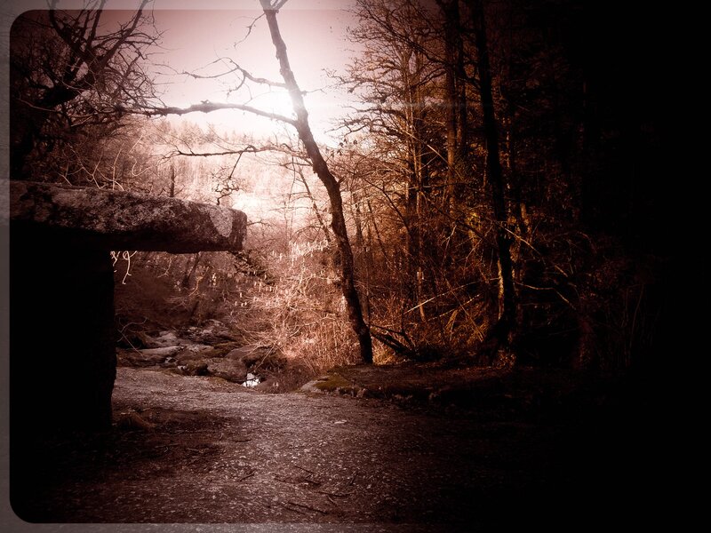 Stone Bridge in Forest — Brown, Dramatic