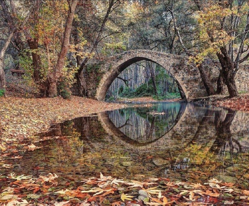 Stone Bridge in Forest — Brown