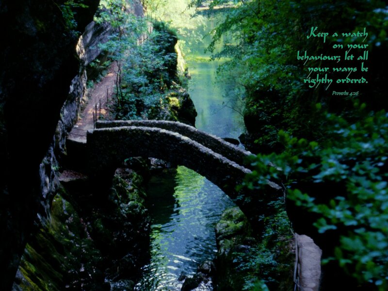Stone bridge in forest gorge