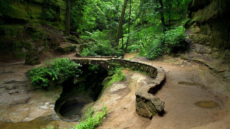 Stone Bridge in Forest — Green, Serene, Afternoon, Photograph, Path