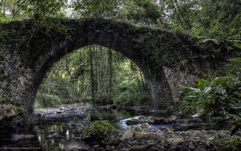 Stone Bridge in Forest — Green, Serene, Afternoon, Photograph, River, Trees, Rocks