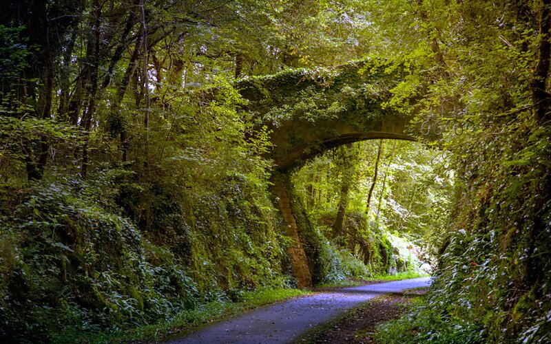 Stone Bridge in Forest — Green, Serene, Afternoon, Photograph, Road
