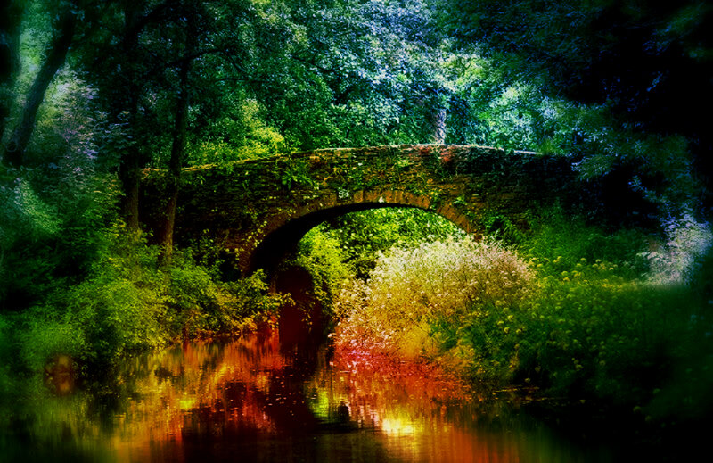 Stone Bridge in Forest — Green, Serene, Afternoon
