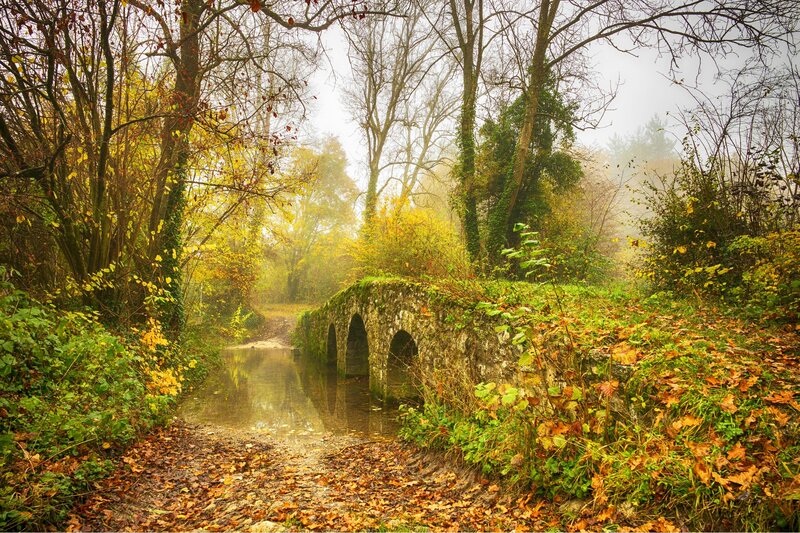 Stone Bridge in Forest — Green, Serene, Autumn, Photograph, River, Trees