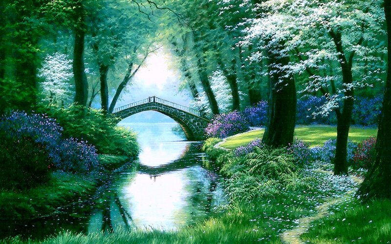 Stone Bridge in Forest — Green, Serene, Morning