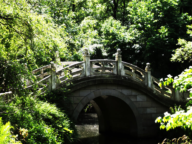 Stone Bridge in Forest — Green, Serene
