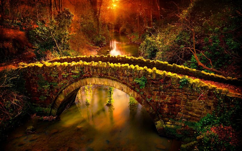 Stone Bridge in Forest — Orange, Dramatic