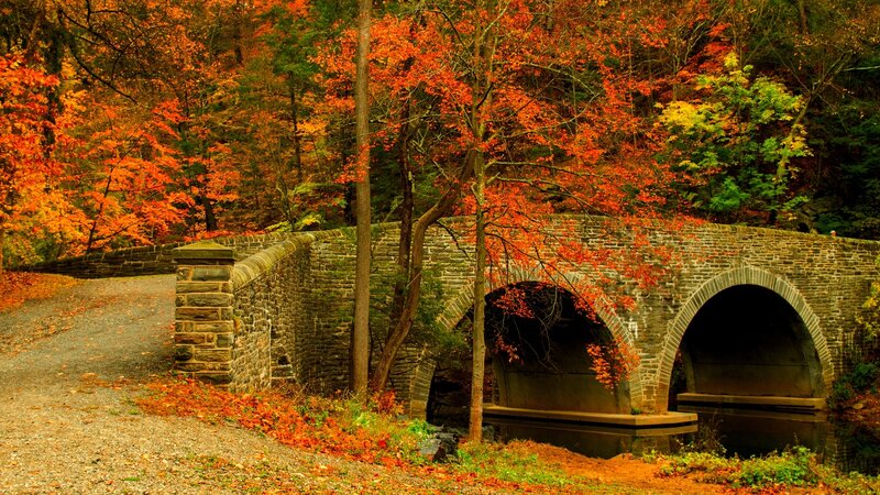 Stone Bridge in Forest — Orange