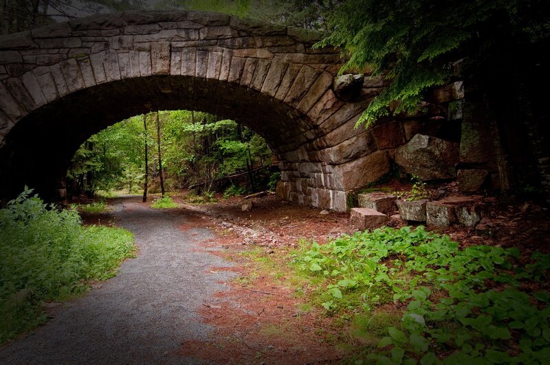 Stone bridge in forest path