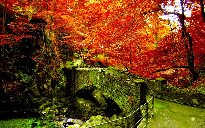 Stone Bridge in Forest — Red