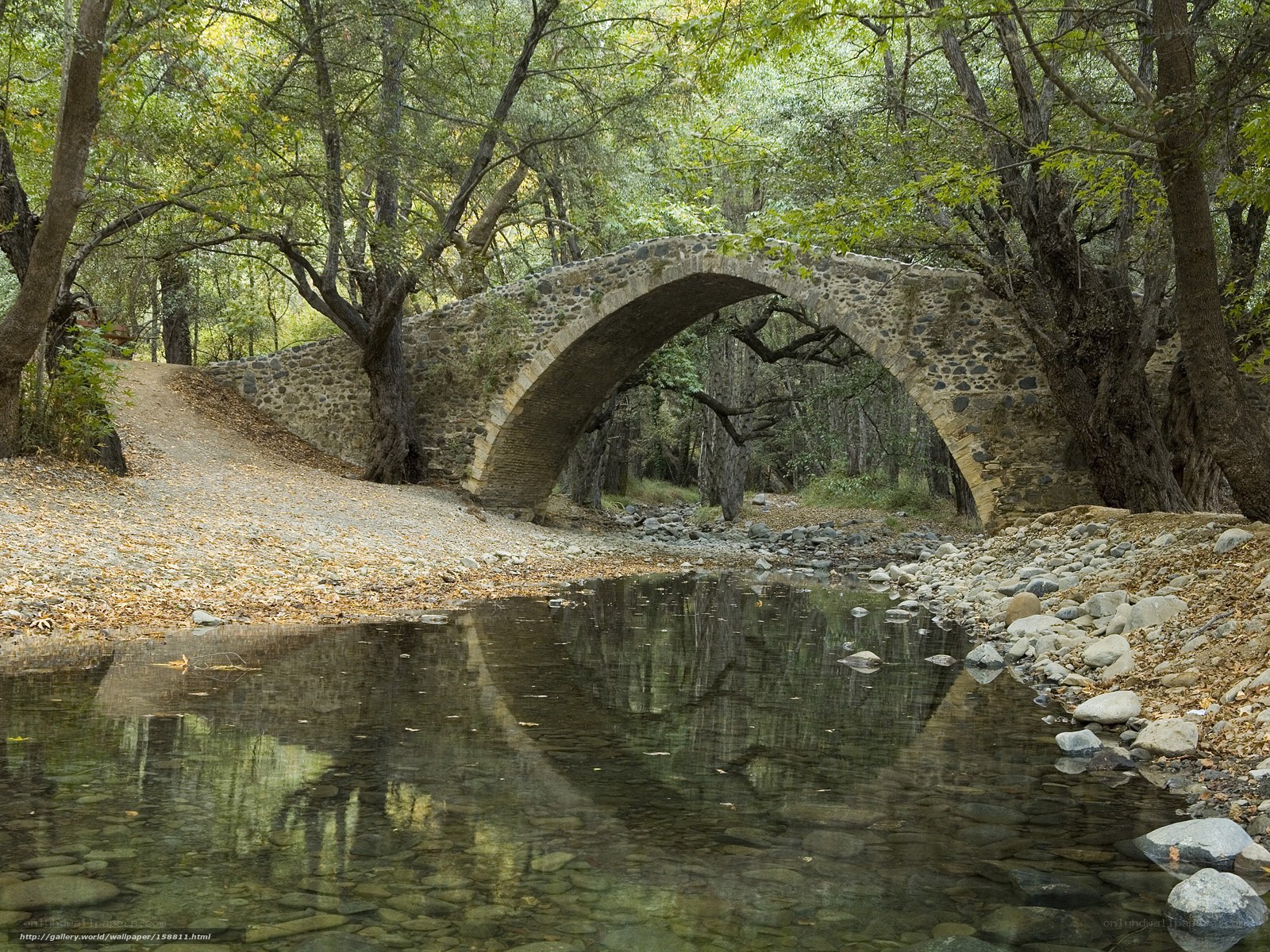 Stone bridge in forest stream