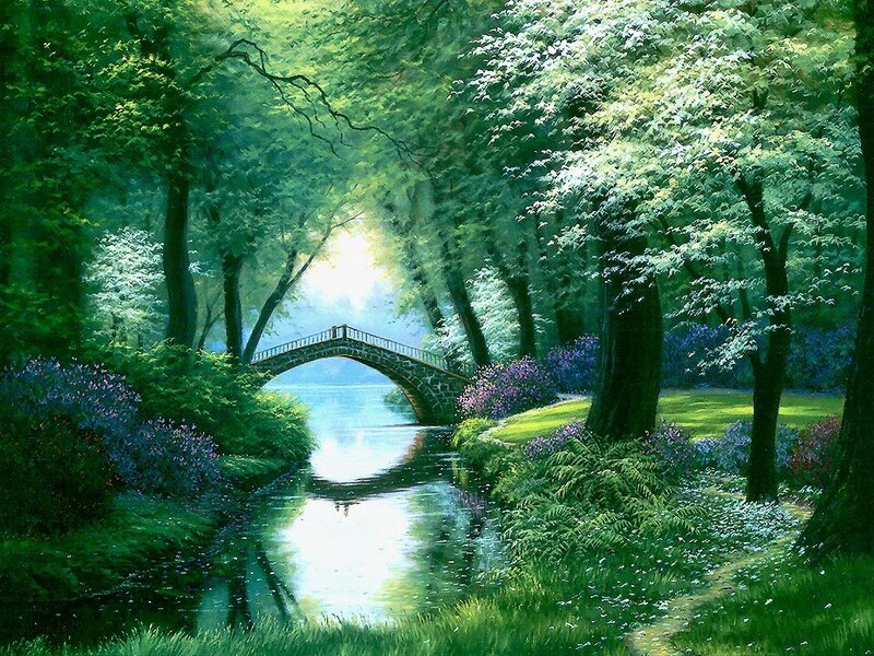 Stone Bridge in Forest