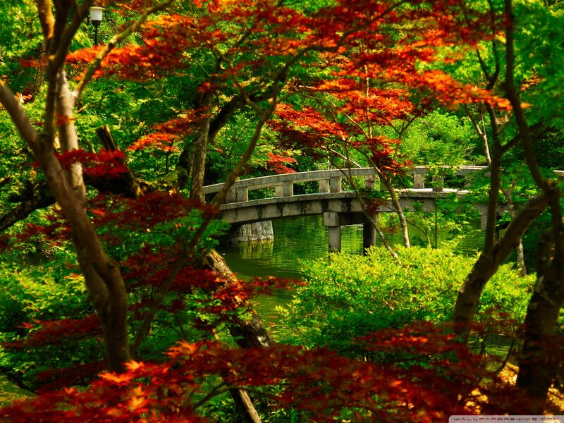 Stone Bridge in Garden — Green, Serene, Autumn, Photograph, Trees, River