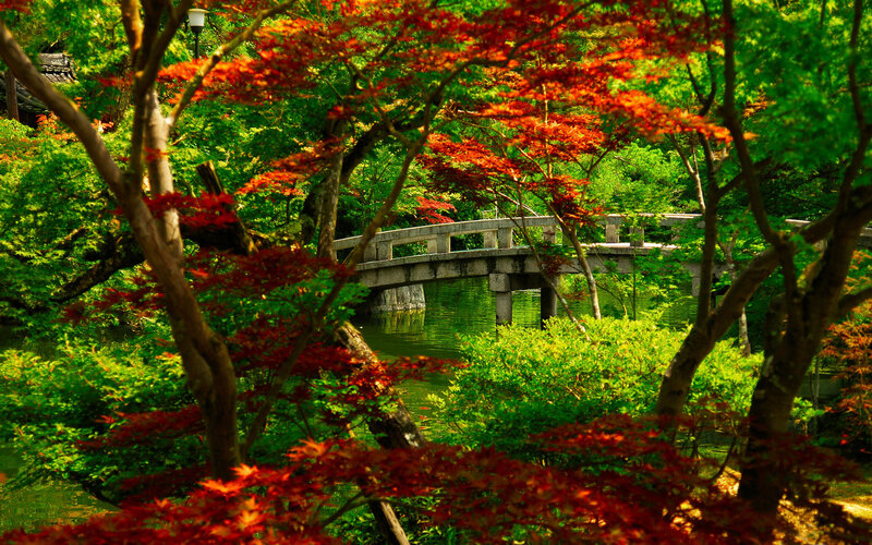 Stone Bridge in Garden — Green, Serene, Autumn, Photograph, Trees