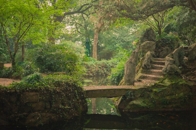 Stone Bridge in Garden — Green, Serene, Morning