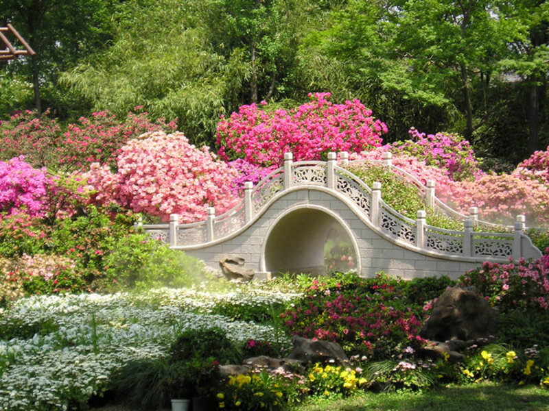 Stone Bridge in Garden — Pink