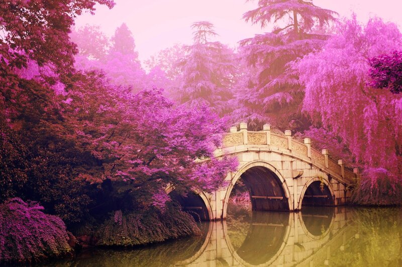 Stone Bridge in Garden — Purple