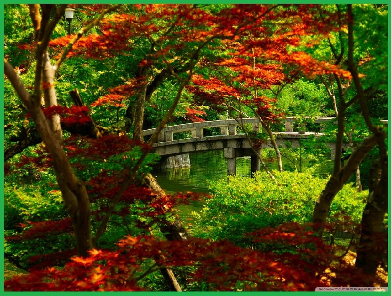 Stone Bridge in Garden — Red